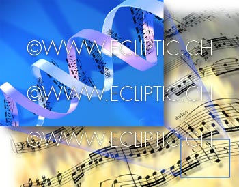 Music DNA notation notes characteristics identification composer origin 